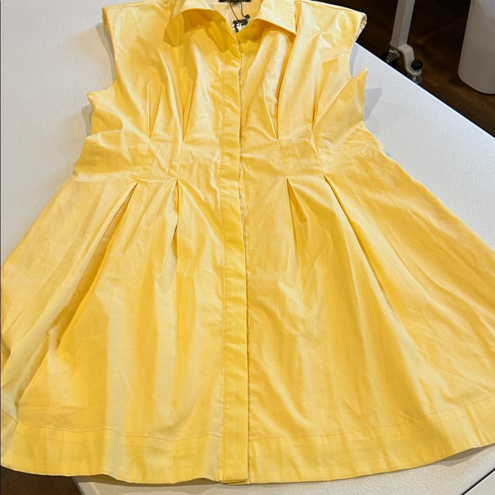 Steve Madden Light Yellow Collared Shirt Dress